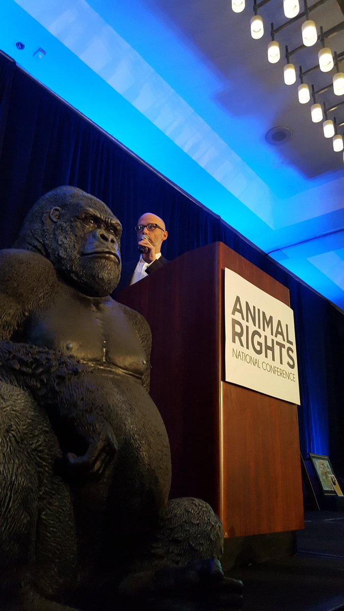 FARMUSA's tweet photo. Dear Moby @thelittleidiot, we like your dedication to #animalrights &amp; #vegan living. Thanks for speaking out! #TellACelebWhyYouLikeThem https://t.co/26H7BVkLpL