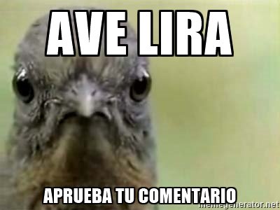 ElAveLira's tweet photo. . @rakelittle @twitter https://t.co/gN83AEFEqe
