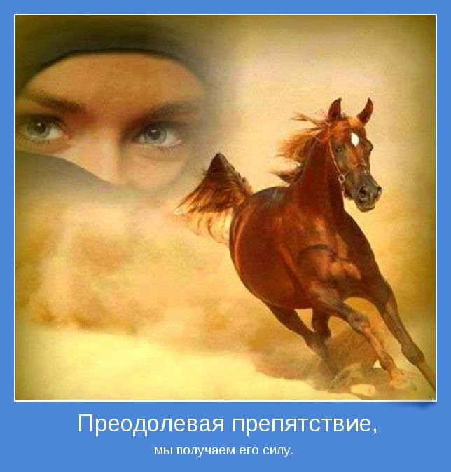 Открытка, открытка препятствие