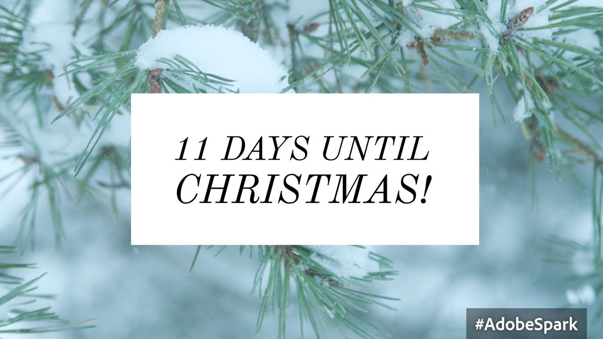 ccard3dev's tweet image. 