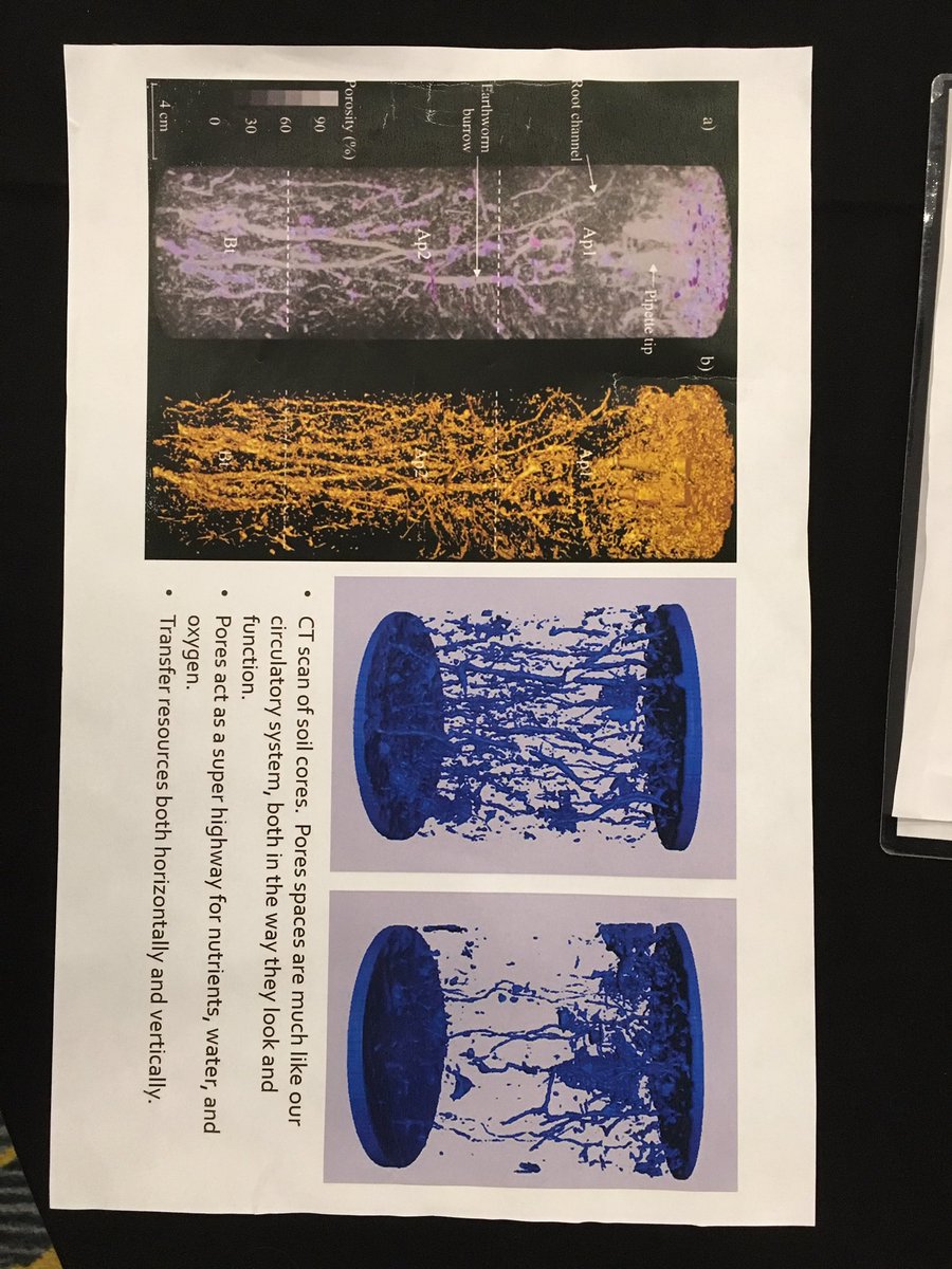 revin_ronnie48's tweet photo. CT scan of soil core https://t.co/CGpHPjasI2 is air spaces for water/ nutrients to flow. #compaction on the right kills #yield #ctc16 https://t.co/I0eAlKIuMv