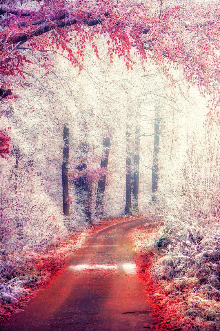 PhD_Aferreira's tweet image. L’amore è come la pioggerella d’autunno: cade piano ma fa straripare i fiumi!!!