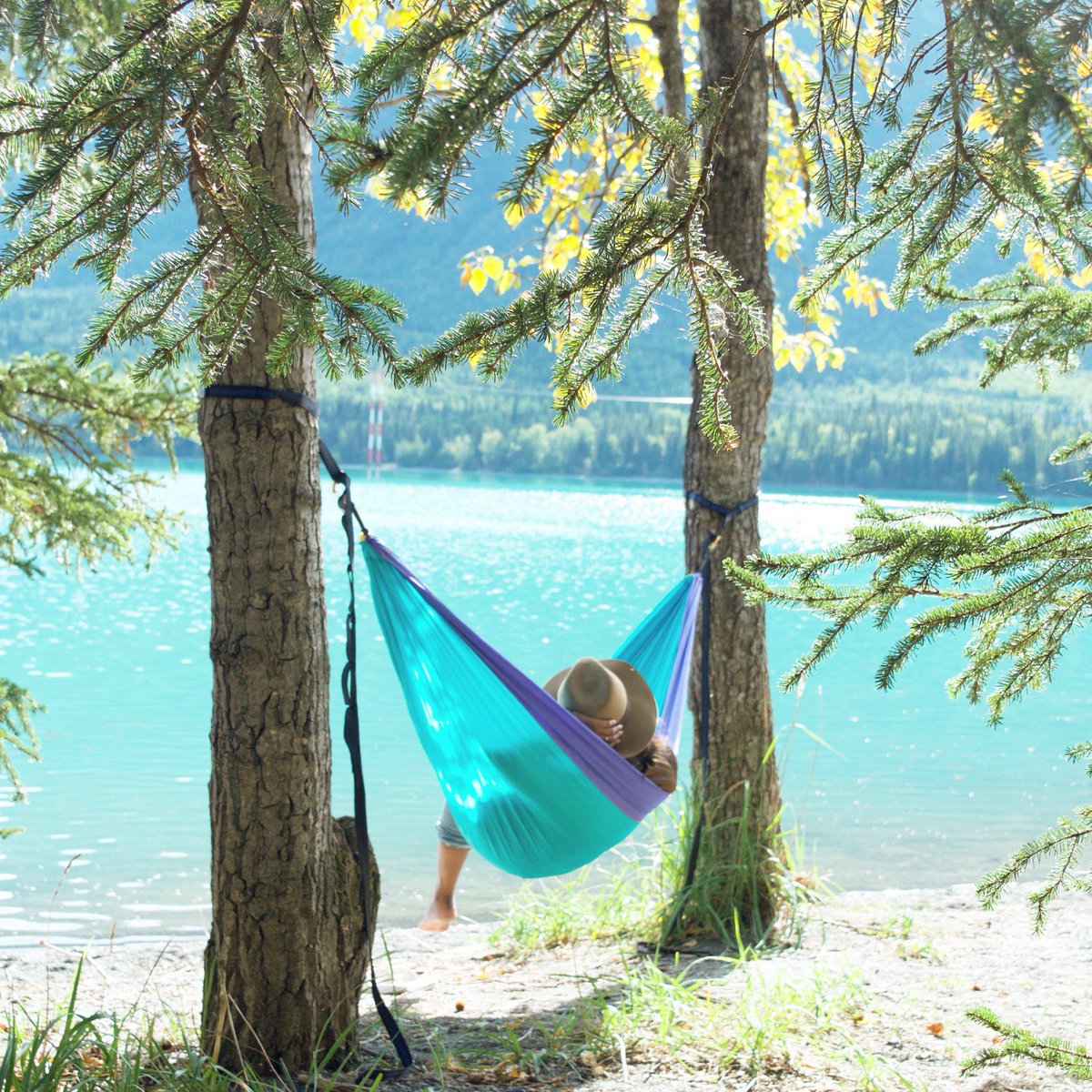 When your mind drifts, where does it take you?

#relax #explore #hammock
pic by <a href="/nabinanazar/">Nabina Nazar</a>