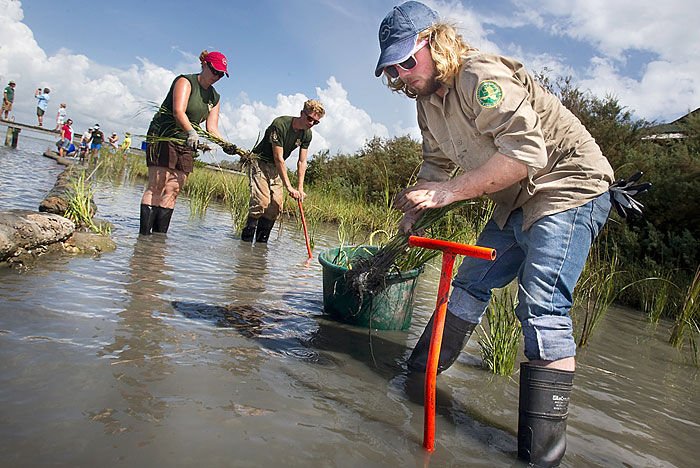 NOAAHabitat's tweet photo. #Funding available to establish a #conservation #corps supporting long-term restoration of the Gulf of Mexico https://t.co/RzQ2JXCjuU https://t.co/0ISL2ezCtq
