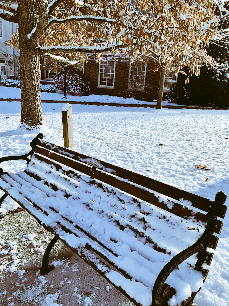 michellenwon's tweet image. "look how pretty the bench is covered in snow!!!" - @lizzi_lakamp  an Ohio resident acting like she's never seen snow before
