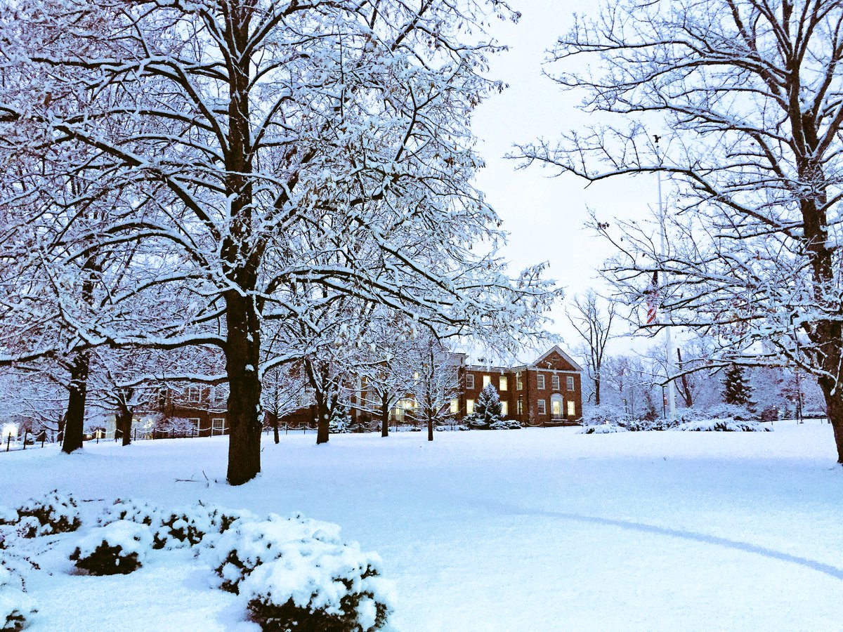 michellenwon's tweet image. "look how pretty the bench is covered in snow!!!" - @lizzi_lakamp  an Ohio resident acting like she's never seen snow before