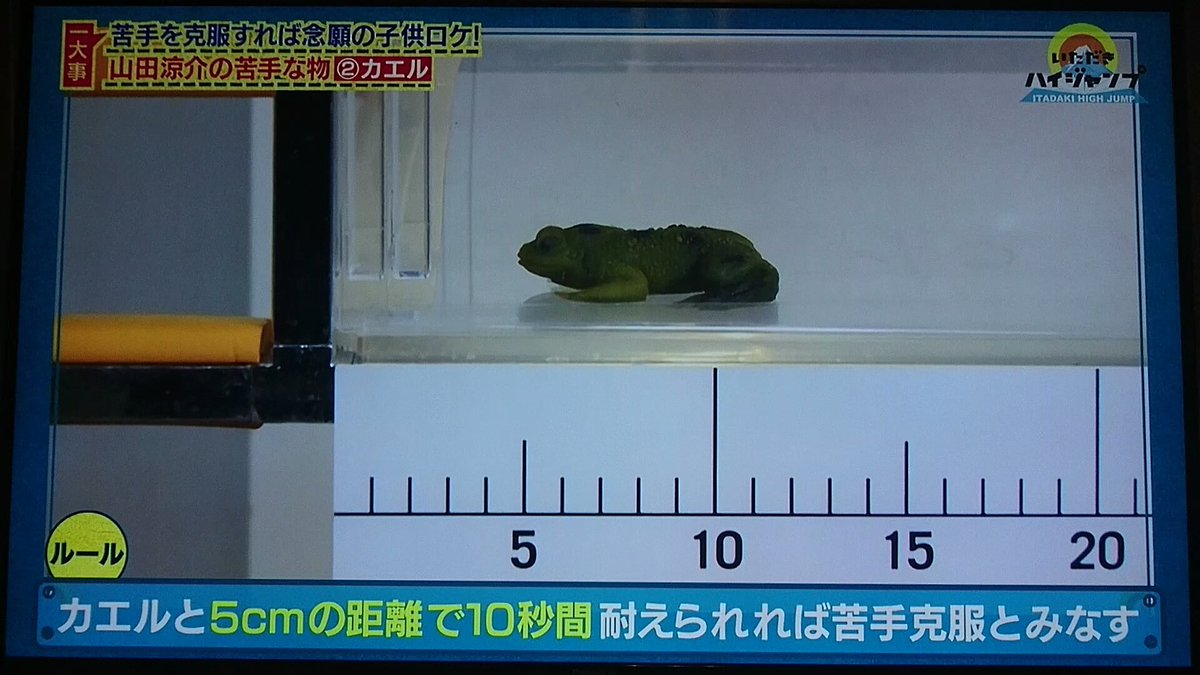 ほ 山田くんの苦手を克服しよう ７ かえる カエルと５cmの距離で10秒耐えれるか 5cmの距離を知念くんと測る山田くん 可愛い いただきハイジャンプ 山田涼介 知念侑李 伊野尾慧