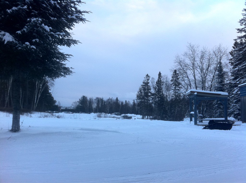 NipissingTrails's tweet image. It is rolled and skiable on the campus trails, still bumpy but getting there. #incrementalgains