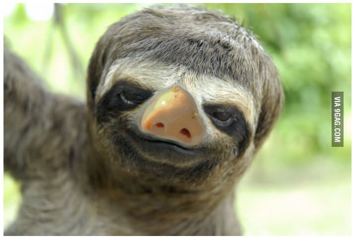 Speed_Moene's tweet image. #MAYTHEFORCEBEWITHYOU