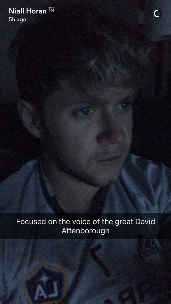 Hope (@spotkaniez1d) on Twitter photo 