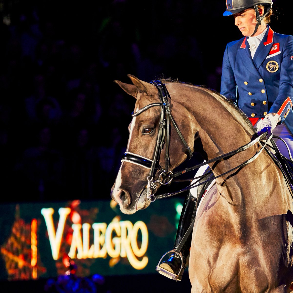 FEI_Global's tweet photo. #ThankYouValegro https://t.co/n3yLFYLYoE