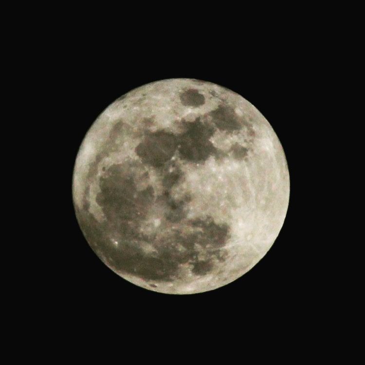 MiLaApartments's tweet photo. For our North Miami, FL residents that may have stayed in their apartment and missed the last full moon of 2016. https://t.co/NNVN3ImiJJ https://t.co/ejdfFuEyGR