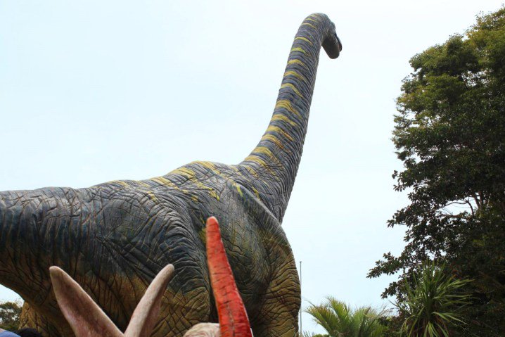 パークフル 東公園 愛知県岡崎市 大人も圧倒される巨大な恐竜モニュメントや ふれあい体験もできる無料動物園など いろんな動物に出会える公園です T Co Nyhaltt9cc