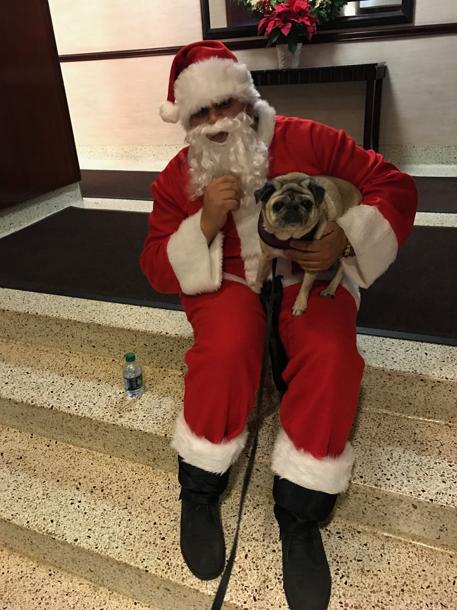 WrigleyPug's tweet photo. A5  Hangin with The Man #pugchat https://t.co/J3Qrj5JKnU