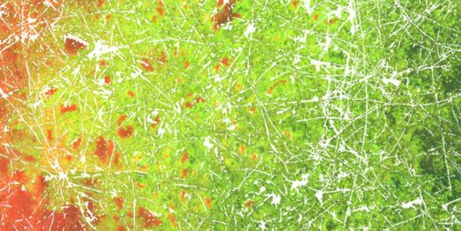 Microbiology_LR's tweet image. In #soil #fungal networks produce #hyphae that greatly improves bacterial #gene transfer, aiding #microbe survival buff.ly/2hn8rWz