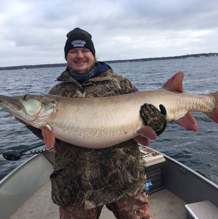 Marshall Hopp caught this cow in MN last month 56 X 28.5