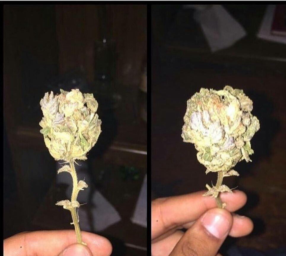 Me being romantic