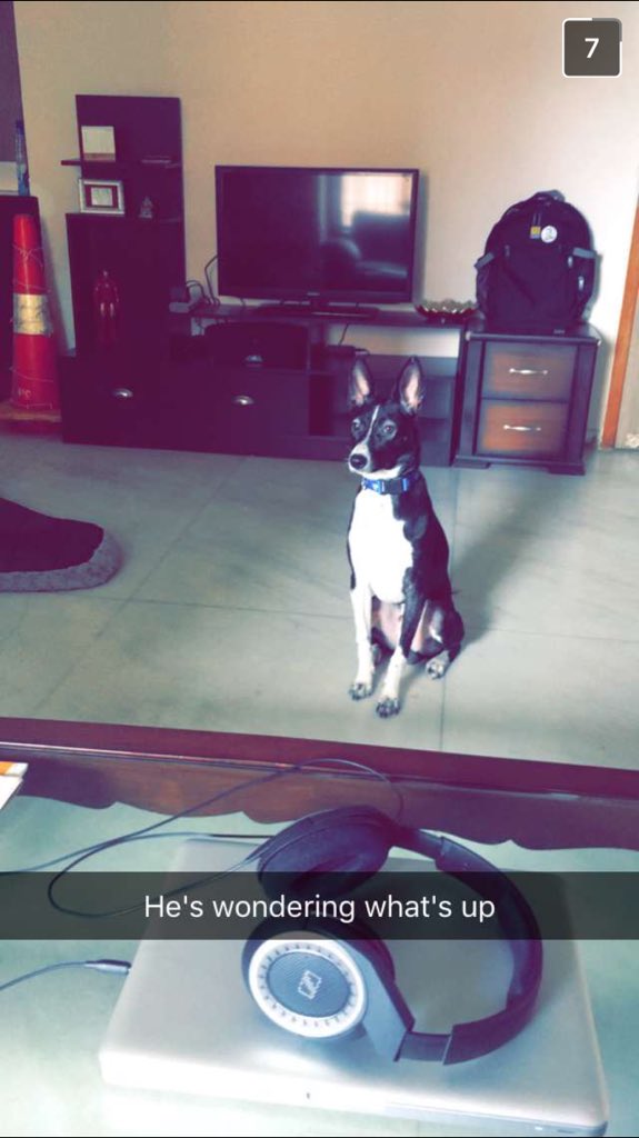 Such obedience! @sahil_arious