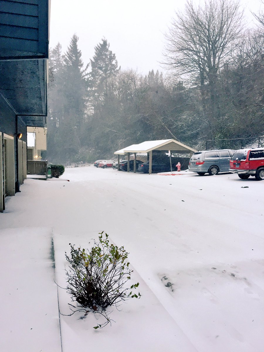 ikrconsulting's tweet photo. View from the office today. Thanks to @PBOTinfo @OregonDOT  @portlandgeneral @TVFR and all 1st responders for your hard work. #PDXSnow https://t.co/XaIlEeRRb8