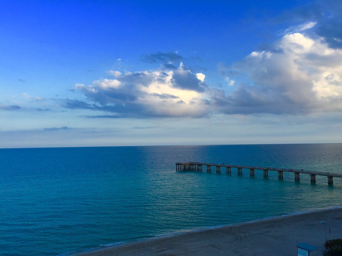 Tammy Motola tweet media