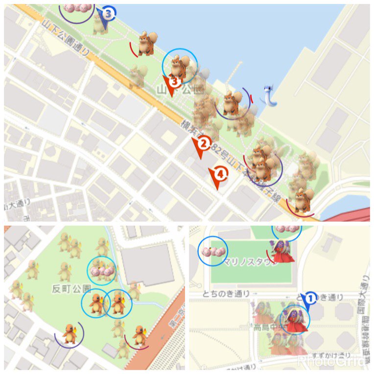 ポケモン巣 ポケモン巣