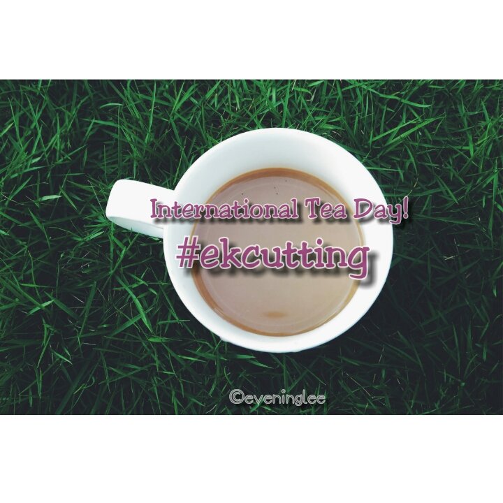 slipingsloth's tweet photo. For all legit tea lovers. It's a 'Chai Day'.
#teaday #ekcutting #keepcutting #beingIndian https://t.co/zoIf0WTWnQ
