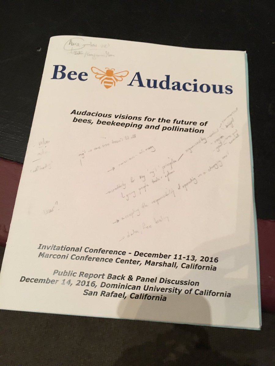 Beeaudacious Hashtag On Twitter