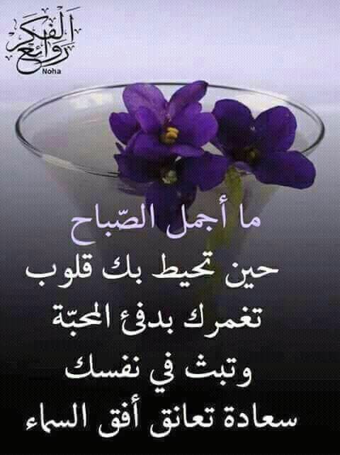 MSRRercZE0VUJS1's tweet photo. إشراقةُ الصباحِ رائعةٌ .❤️لكن الأروع منها 🎄🌹إشراقةُ وجودكم .. في القلب..صباح الخيرياعراق الخير❤️صباح الانتصارات 💐بسواعد الابطال اخوة زينب💐 https://t.co/JIu43H2TJK