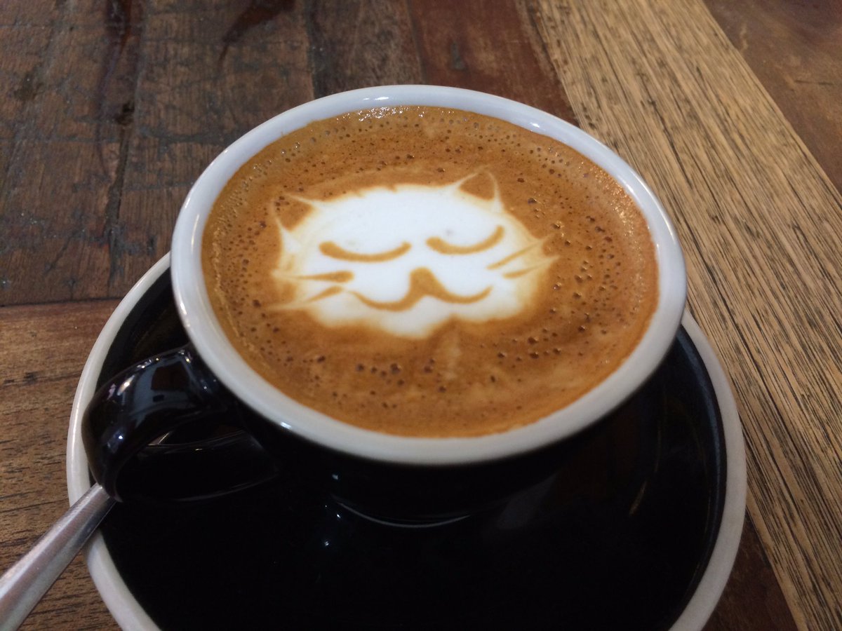 KatherineBH's tweet photo. When your sister visits you in Melbourne and straight up asks for latte art because apparently that's what a coffee capital is about. 😬 https://t.co/QQNCx1JRkQ