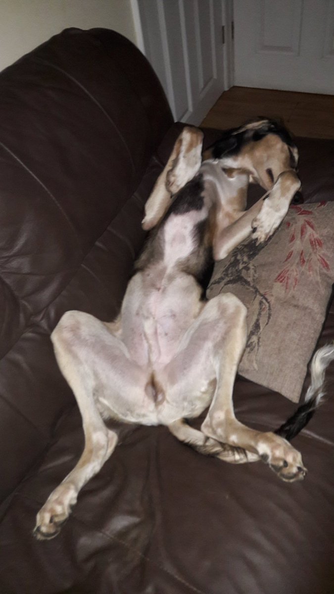 JabMove's tweet image. 