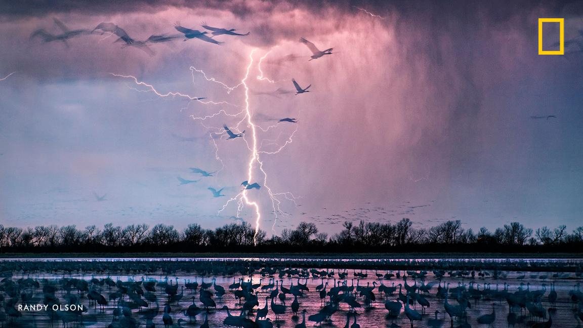 NatGeoPhotos's tweet photo. We sifted through 107 @NatGeoMag stories to find the 52 best photos of 2016: https://t.co/XHPZoBCahc https://t.co/DxBgVXnoKU