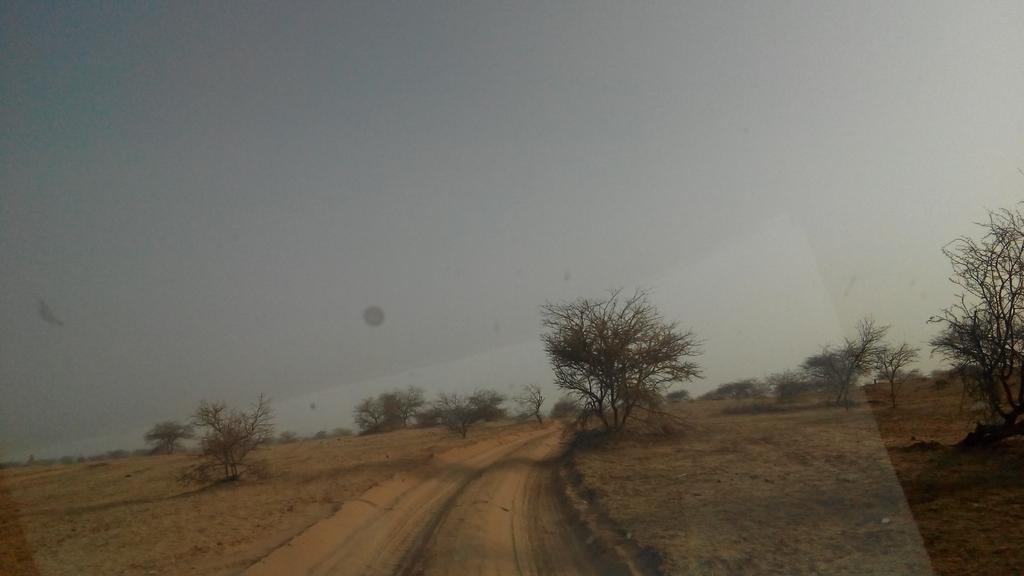 falher3's tweet photo. Un parcours des combattants sur des pistes impraticable @SFCG_NIGER @pnudfr région de #Tahoua département #Tchinta village de #Chiwighuiri https://t.co/ALYYizopUg