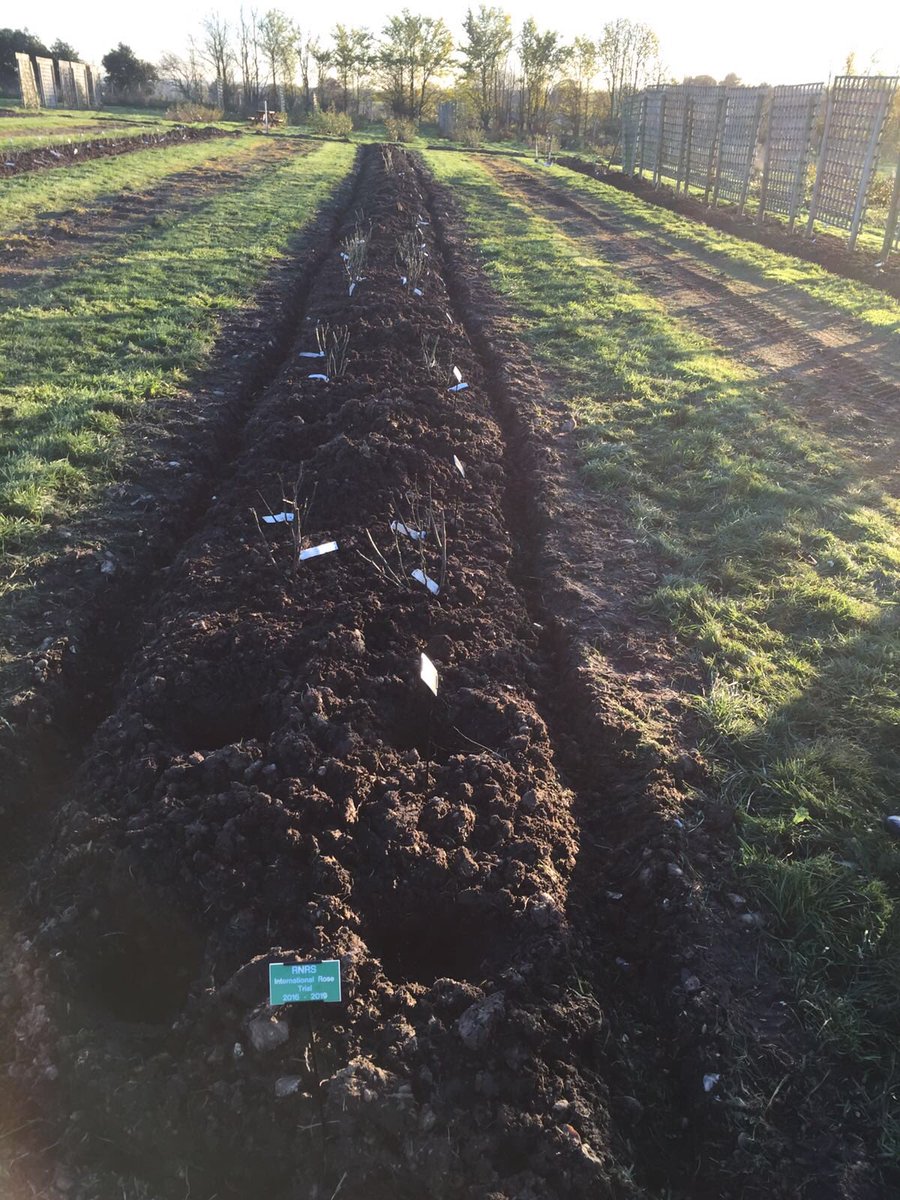 Our international rose trials are planted for the 2017 season #TheGardensOfTheRose
