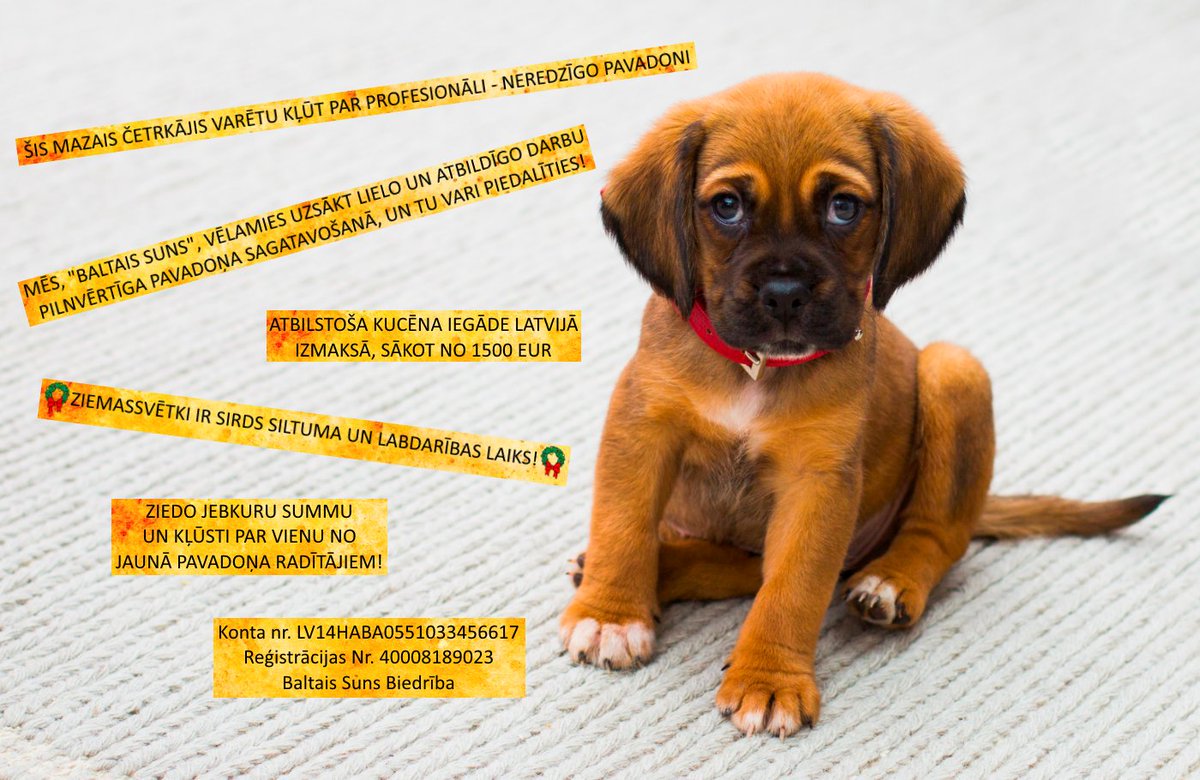 «BALTAIS SUNS» (@sunspavadonis) on Twitter photo 