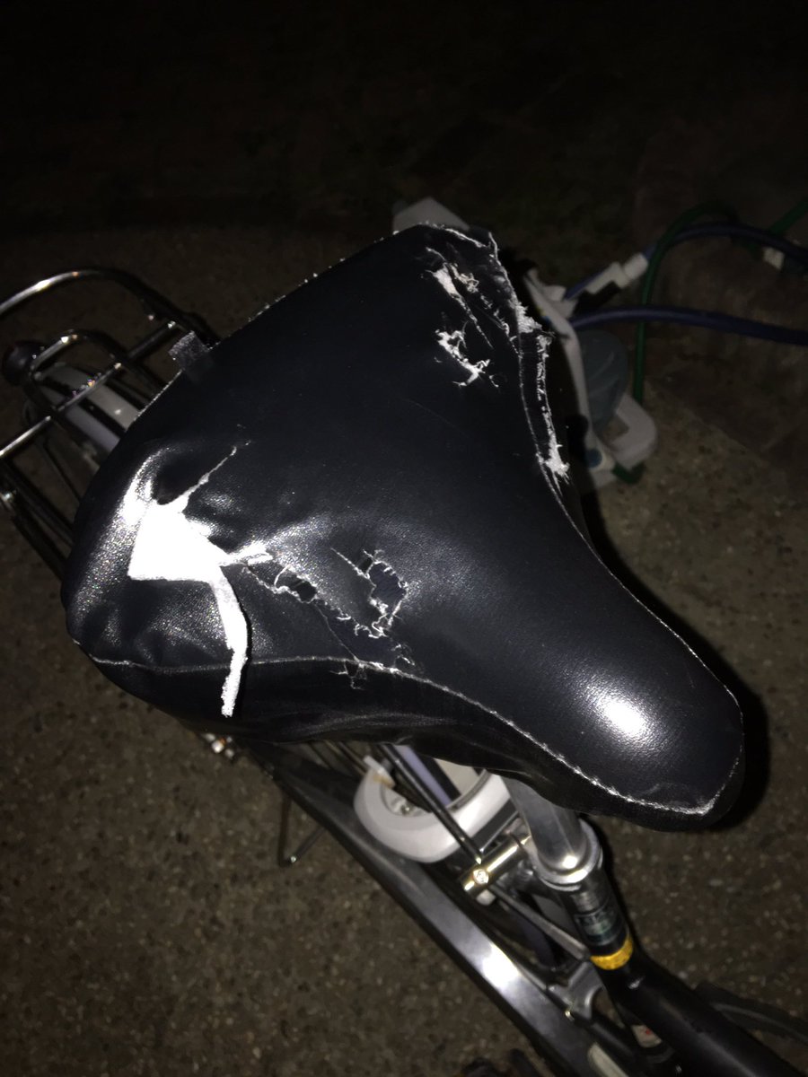 しょうた در توییتر 今週に入って3度目のカラスの被害でした 今日はさすがにと思って自転車置く場所変えたのにまた被害を受けました カラスは一体名前がわかるのでしょうか お尻の匂いが好きなんでしょうか このままいけば余裕でサドル被害校内1位を取れそうです