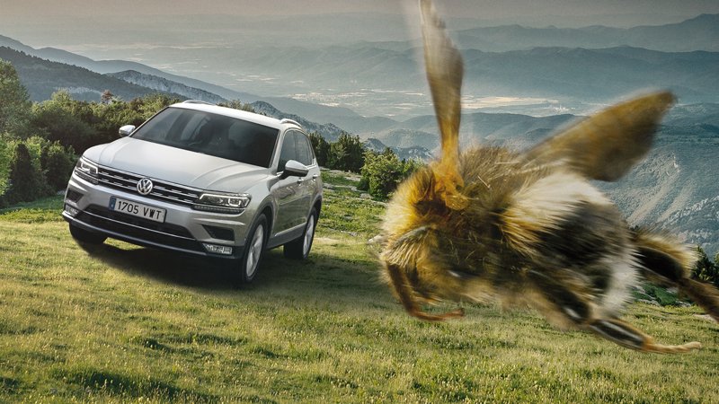 VW_es's tweet photo. Si las abejas vuelven a casa, sal volando y disfruta cada gota de lluvia con la tracción integral de tu #VW4Motion https://t.co/k5Gjdf8rEz https://t.co/xO90wxYjej