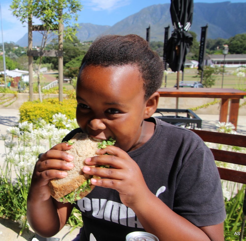 swellendamtour's tweet photo. Amazing take-away sandwiches @TrediciSA - but why takeaway with that wonderful view! #Swellendam @SAKidFriendly @yokomoano @swelendamaxicab https://t.co/T7G796uhSl
