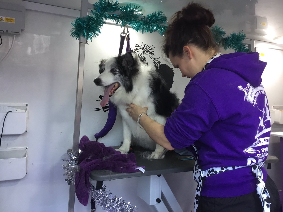 SianLMiles's tweet photo. Jeff getting ready for #Christmas @FrizzyFranksDS @BCTGB 🎄🎅🏻🎄🎅🏻 https://t.co/F5iT3r8eZs