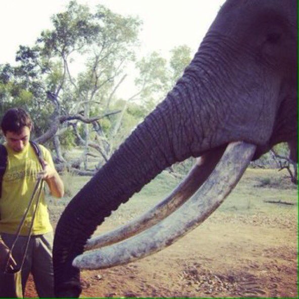 Bir gezginin olması gereken 5 aşı:

1. Tetanoz
2. Sarı Humma
3. Menenjit
4. Hepatit A
5. Hepatit B