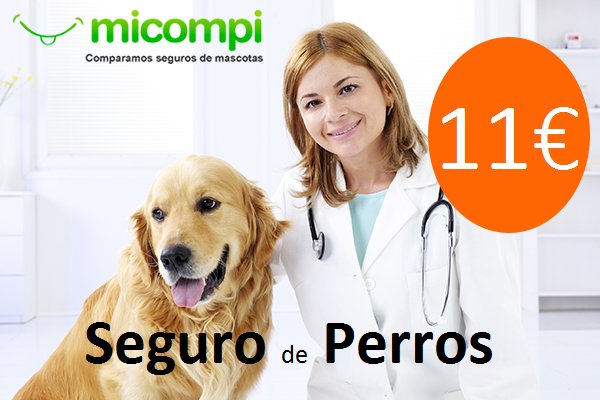 MicompiCom's tweet image. !#Seguro de #SALUD para tu #PERRO!
 👉 micompi.com/seguros-perros…
✅Libre Elección Veterinario ✅Perros +7 Años