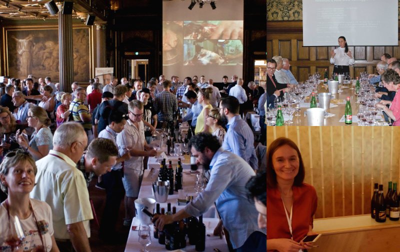 #Vino italiano: obiettivo #export! Focus su #NordEuropa e #EstEuropa mercati chiave, non inflazionati! bit.ly/2gMxlQh #wine