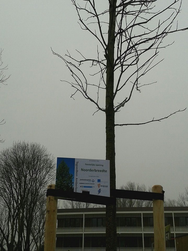 montini_baarn's tweet photo. Amberboom geplaatst. dank aan #janssendejong en andere aannemers https://t.co/EJtfoBPmcs