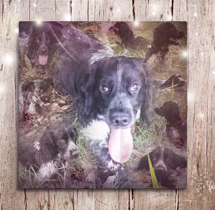 FirefliesTweet's tweet image. Personalise with your own photos time for Christmas❤️️#personalised #christmas #christmasgift #giftideas #gift #pets #dogs #cats #etsy #love