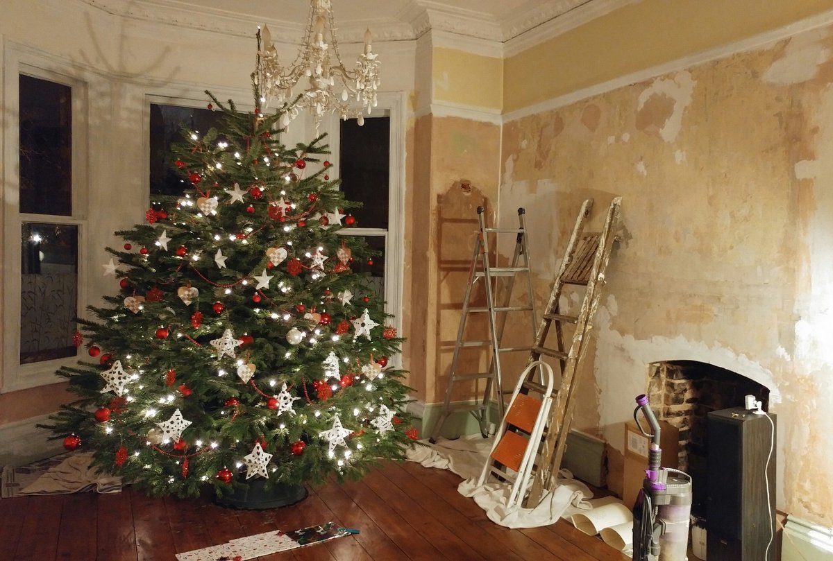 Why yes we are renovating our living room around our stunning 10ft tree beast from <a href="/BudGardenCentre/">Bud Garden Centre</a>. Thanks Brenda, she's a beauty! 💗