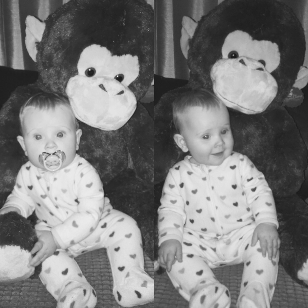 Rachelpadgett6's tweet photo. She loves her monkey #spoiltbaby https://t.co/MxV9xZ3Xim