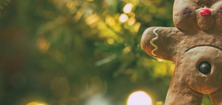 Relocating the Gingerbread Man 

admires his masterpiece
in our Christmas trees’ new lights

imagecurve.com/relocating-gin…

#shortstory #epub