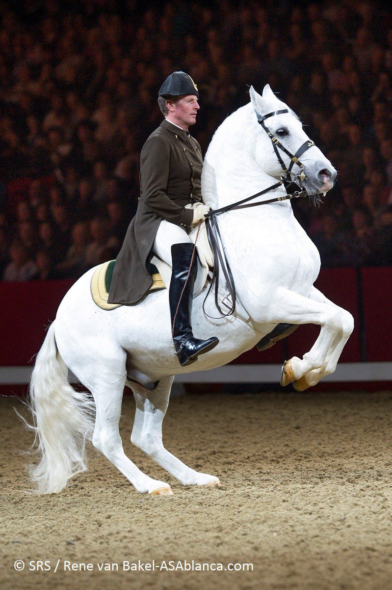 Happy Weekend / Schönes Wochenende! #SRS #Lipizzaner