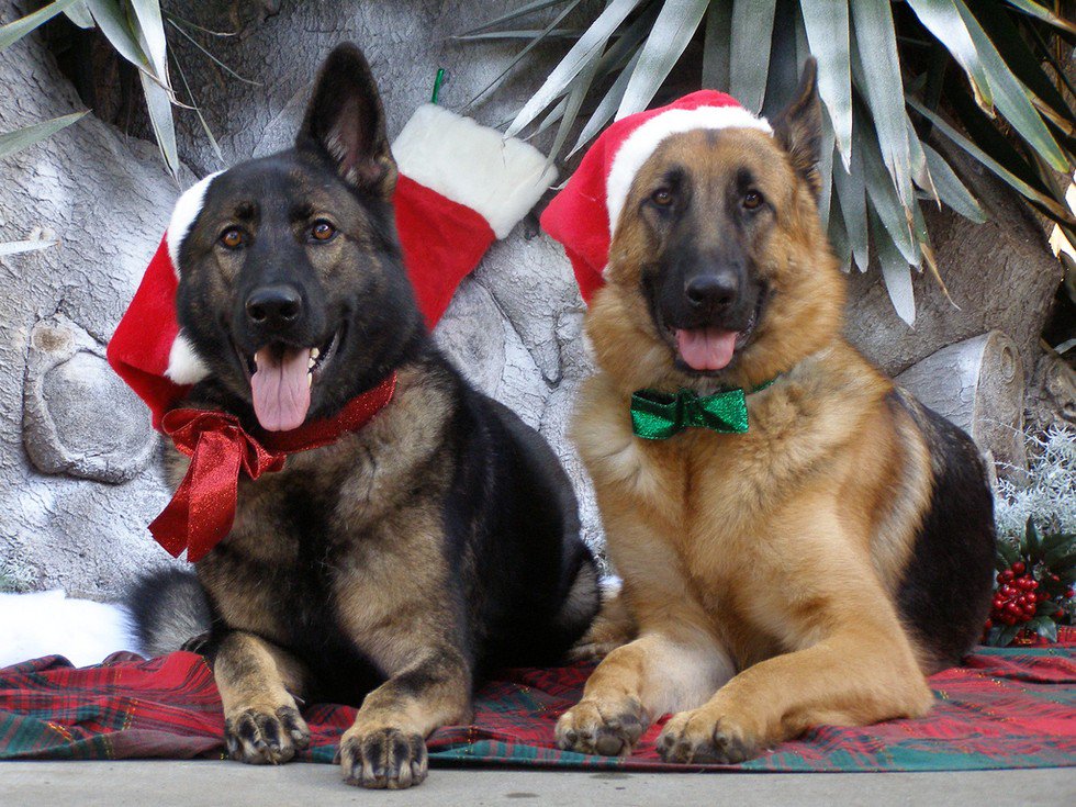 KayaBella tweet media