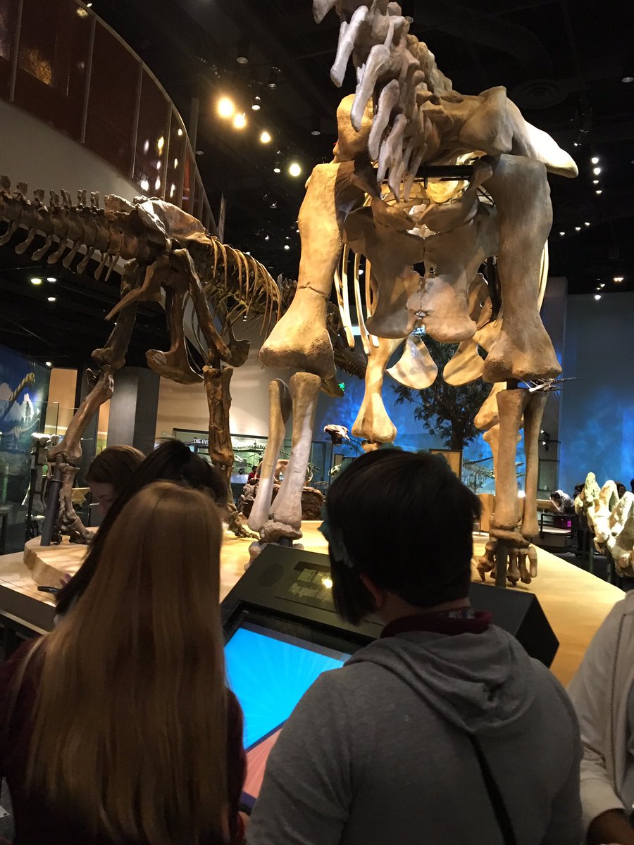 FMSAP_Turner's tweet photo. 8th Graders at the Perot Museum https://t.co/pjrXiQizXl