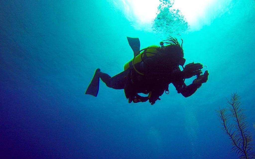 DiveExuma's tweet photo. At one with nature! | #diving #scuba #snorkel #explore #ocean #underwater #blue #divebaham… https://t.co/TVCke6ZUhF https://t.co/coB4FbE6wL